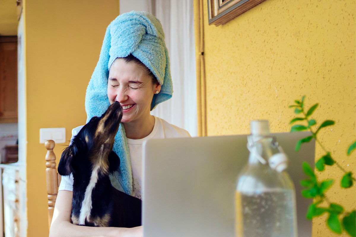 Woman sitting at desk with laptop, with hair wrapped in towel and her dog on her lap.