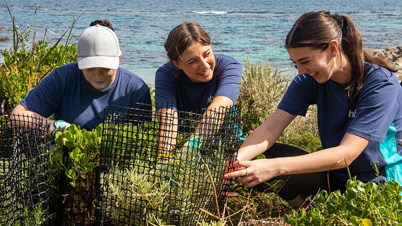 Volunteers planting trees