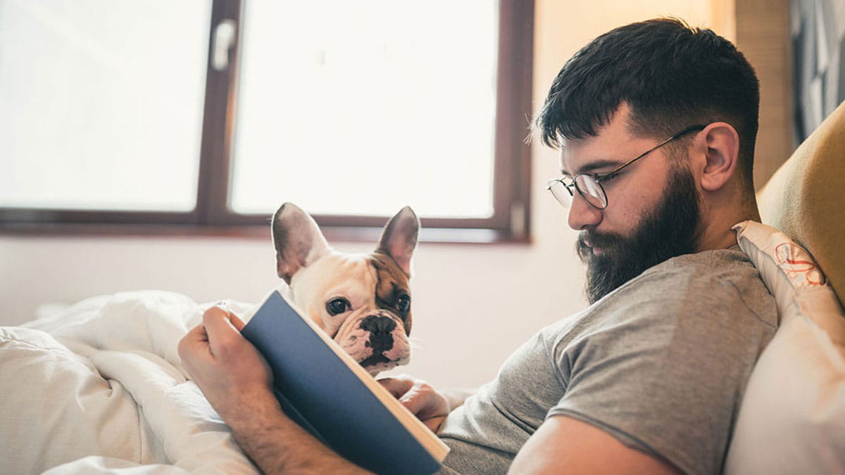 Man reading in bed with dog