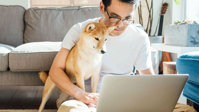 Man researching on laptop with dog watching over