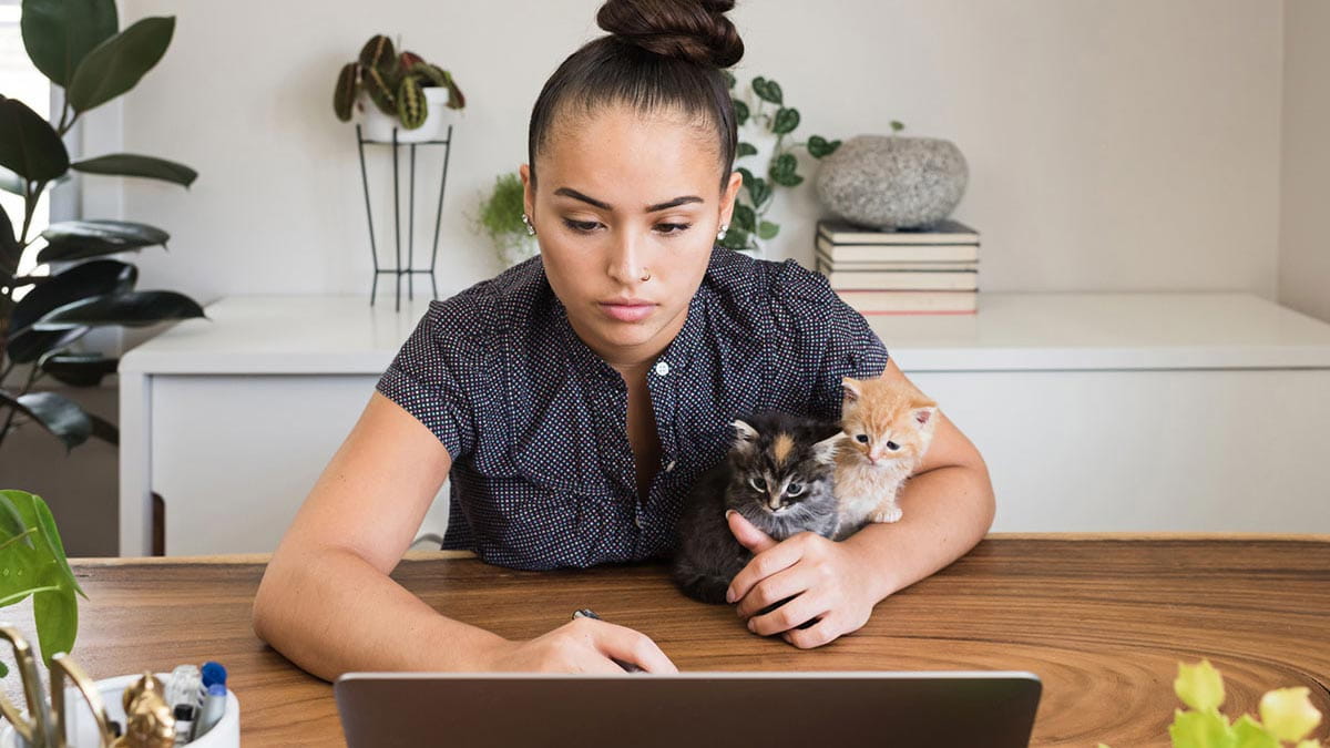 Woman researching on laptop