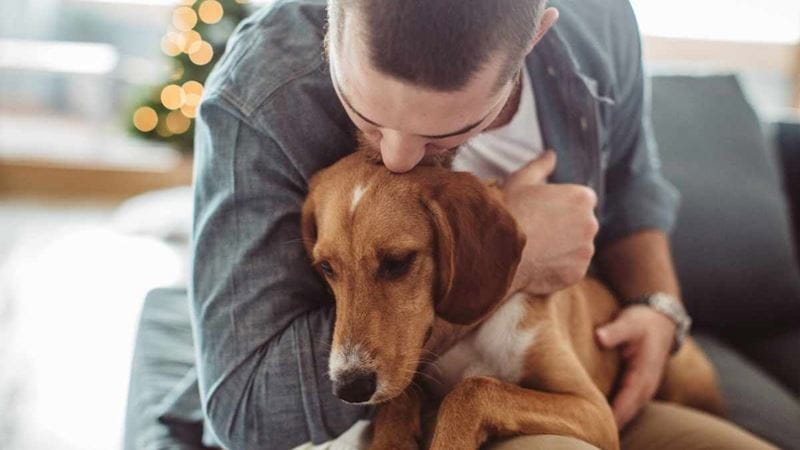 A man hugs a dog with a Christmas tree in the background