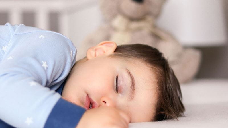 Toddler sleeping in cot