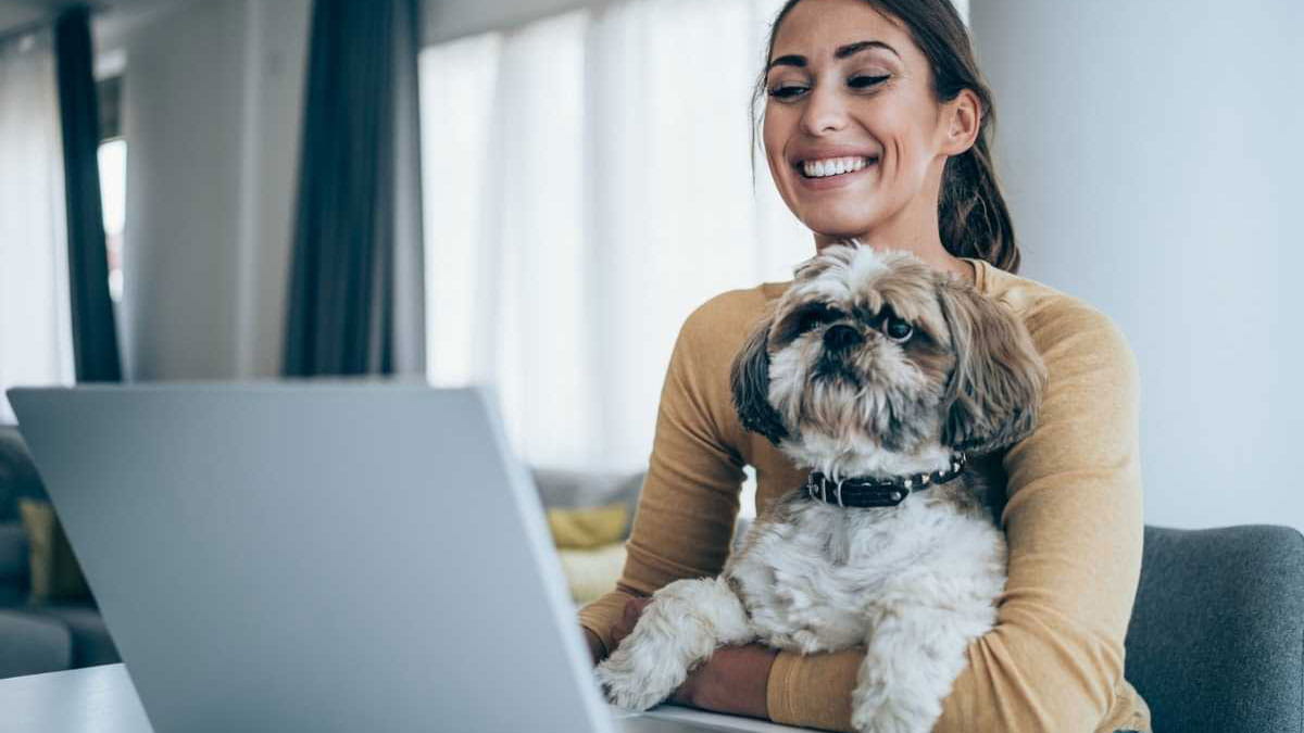 Woman working on laptop with small dog on her lap
