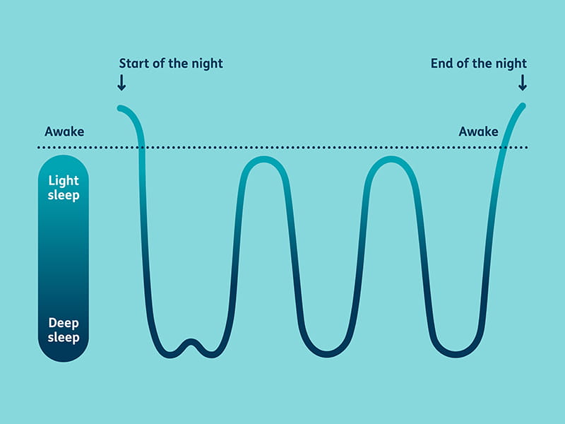 Children sleep cycle graphic