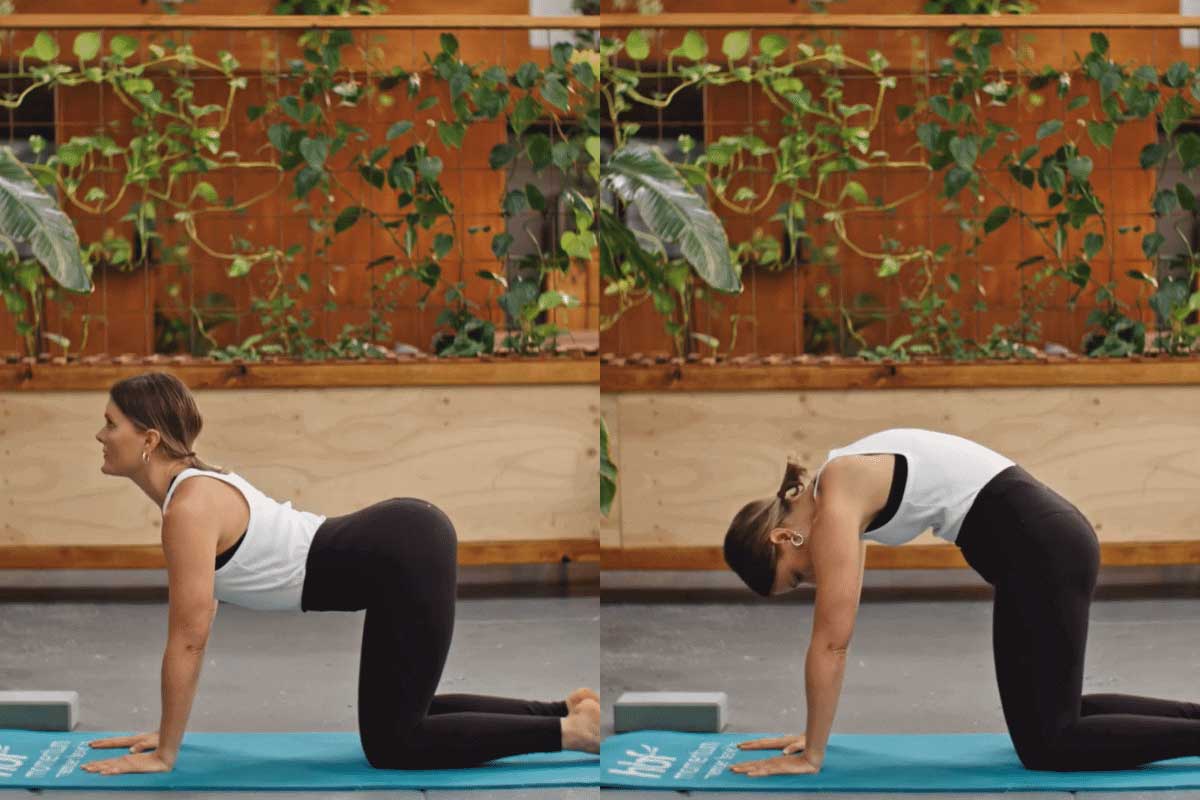 Woman doing yoga cat and cow pose