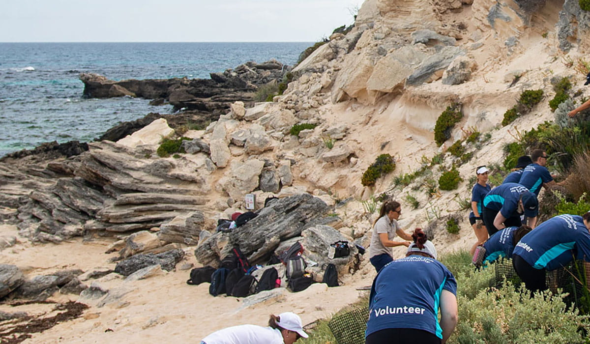 HBF volunteers cleaning up a beach
