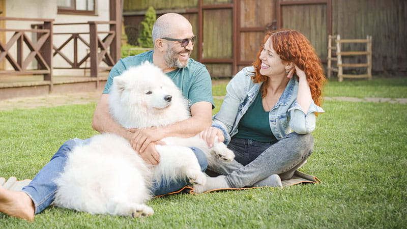 Couple on the grass with a white dog