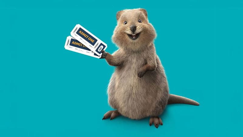 Buddy quokka with movie tickets