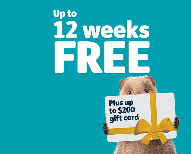 12 weeks free plus a gift card plus 2 months waived waits 