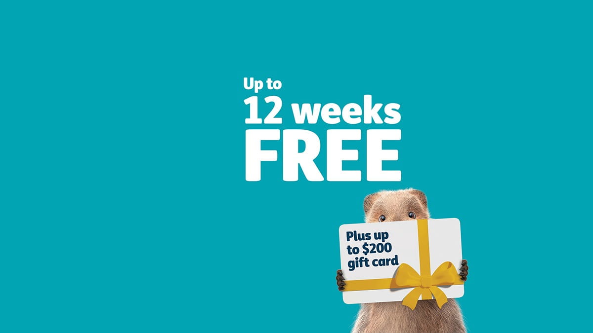 12 weeks free plus a gift card plus 2 months waived waits