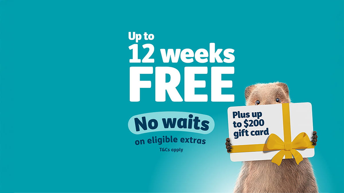 12 weeks free plus a gift card plus 2 months waived waits
