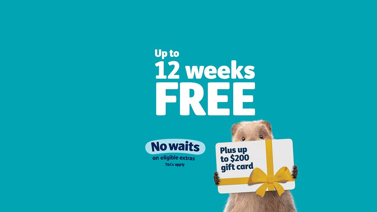 12 weeks free plus a gift card plus 2 months waived waits