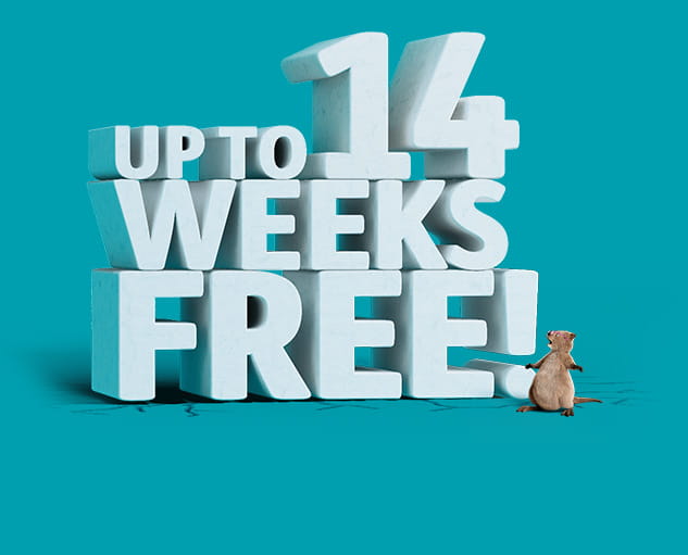 14 weeks free waive waits