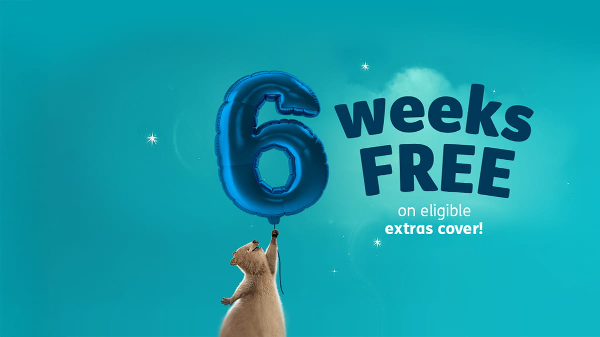 6 weeks free extras