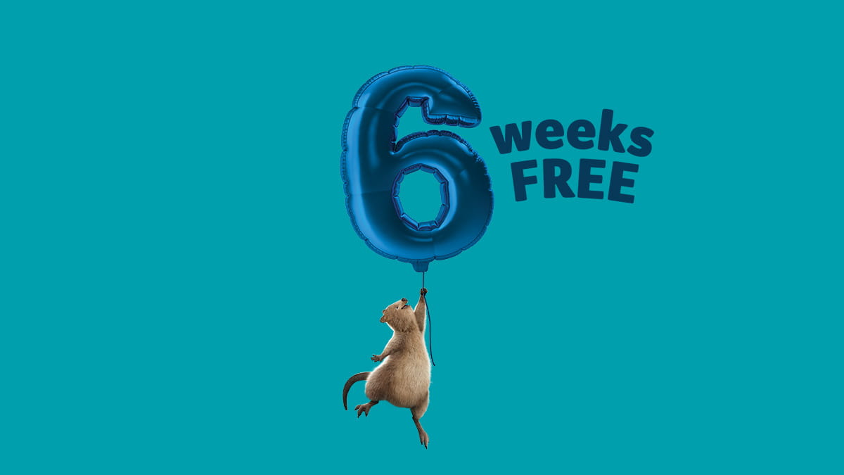 6 weeks free hospital