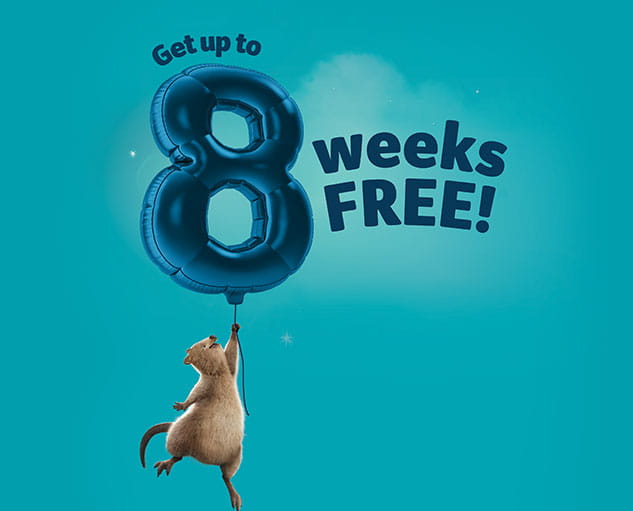 8 weeks free
