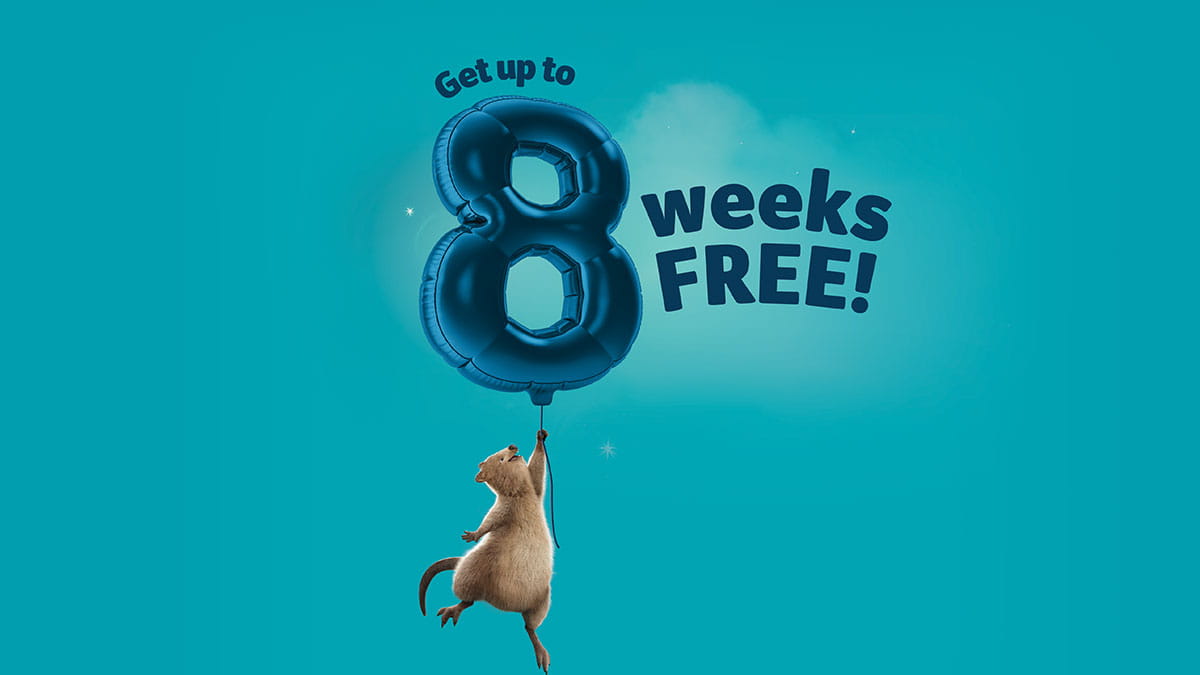 8 weeks free