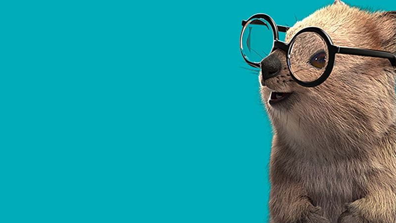 HBF Quokka wearing glasses