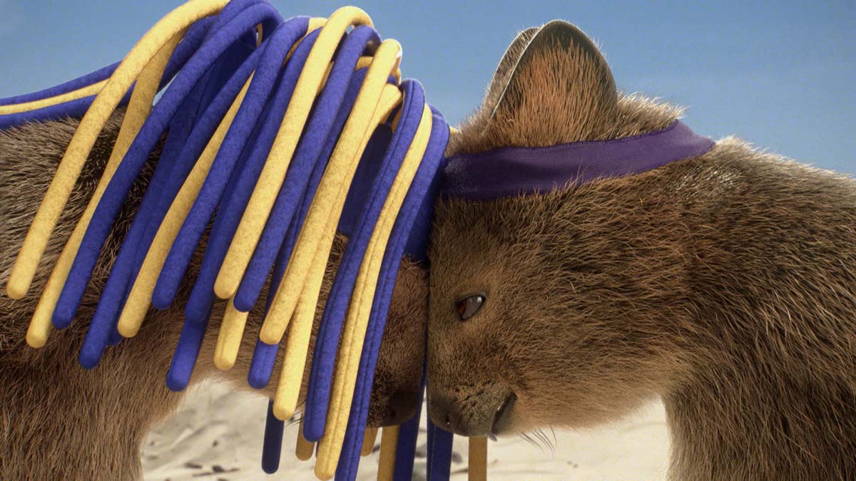 Quokkas wearing Eagles and Dockers colours