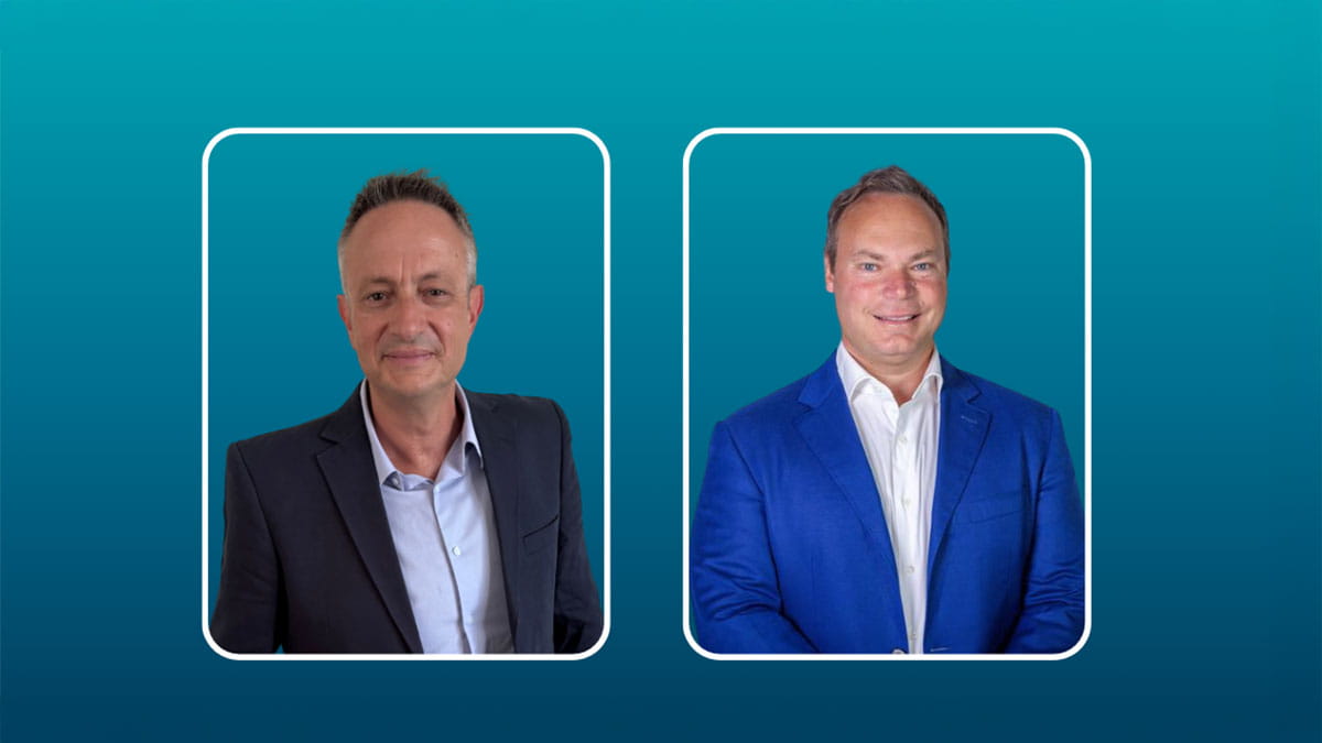 Non executive directors