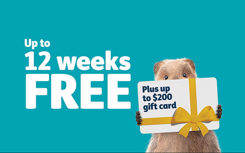 12 weeks waive waits