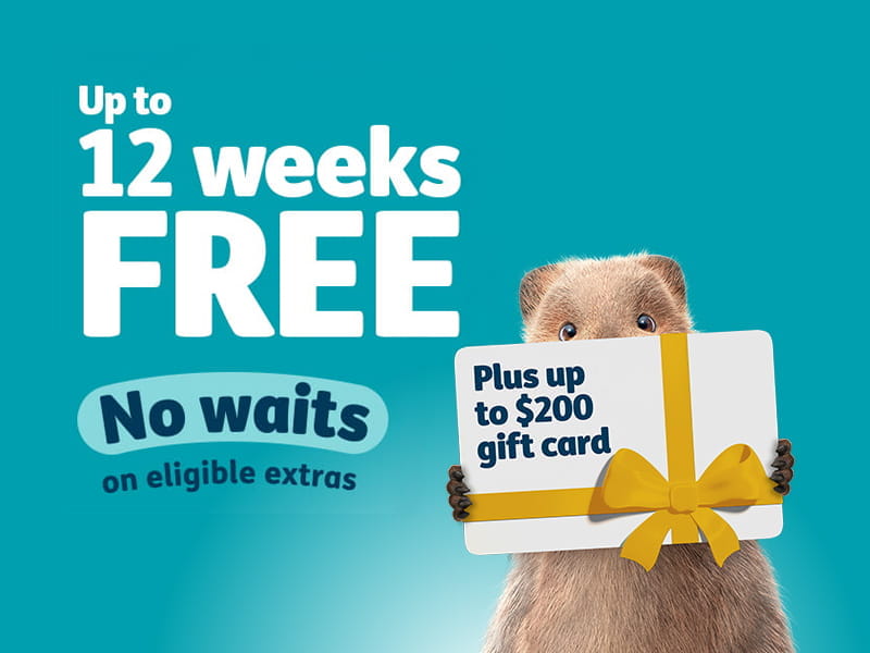 12 weeks waive waits