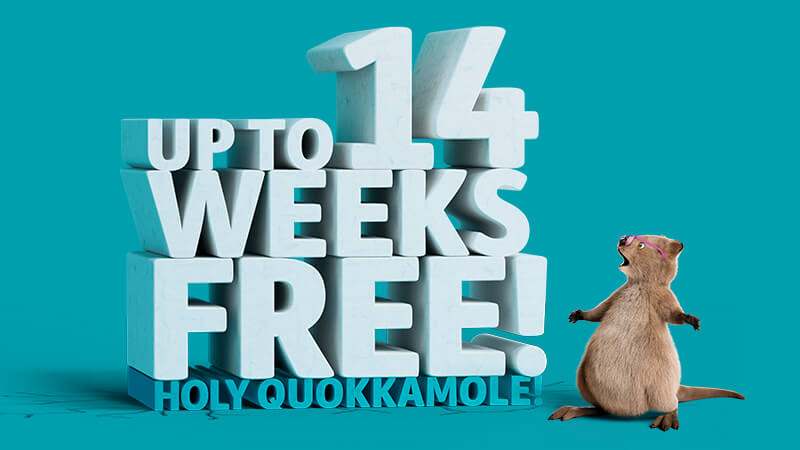 14 weeks free