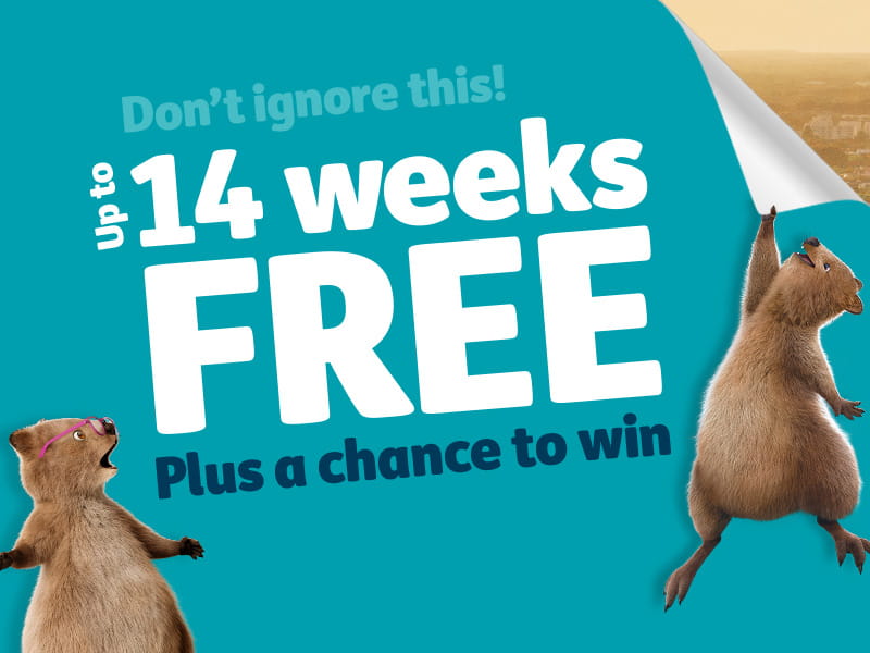 14 weeks incentive