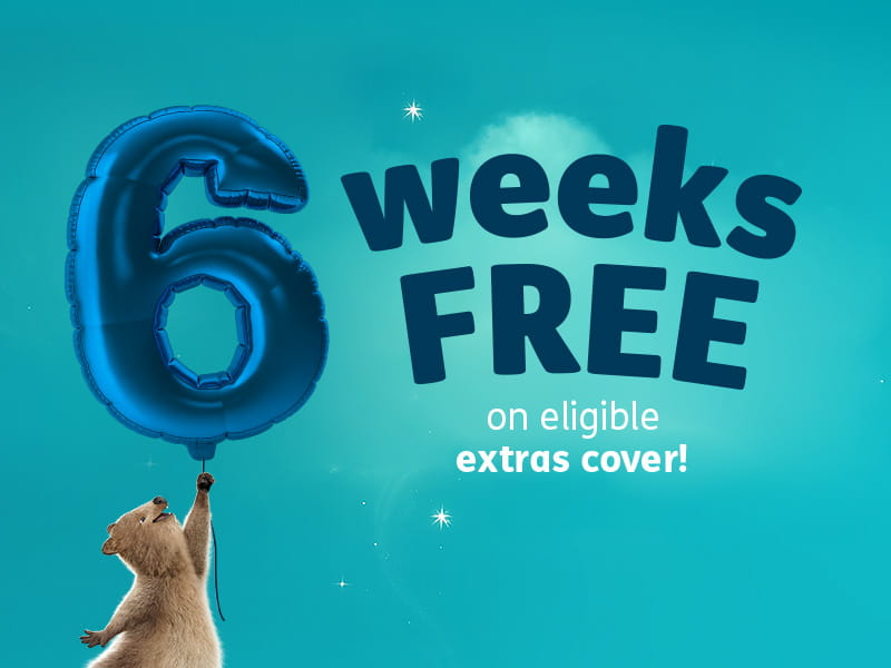 6 weeks free extras only