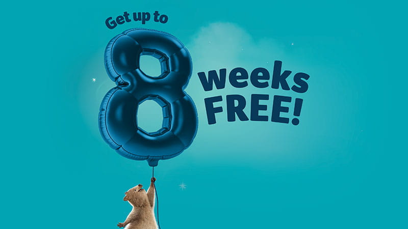 8 weeks free