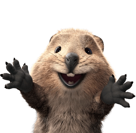 Jack the mischievous quokka