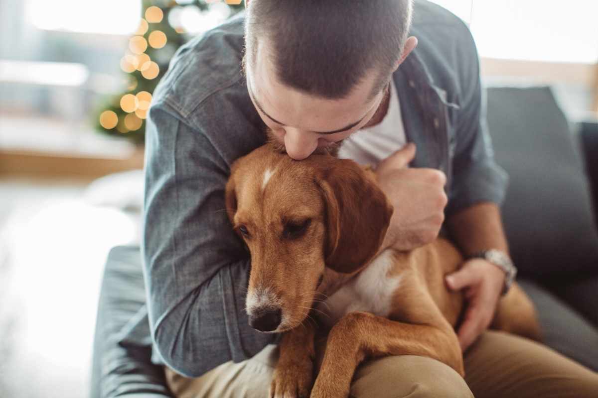 A man hugs his dog with a Christmas tree in the background