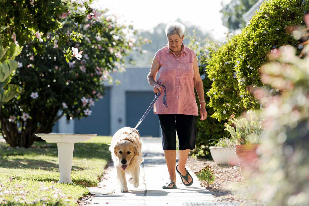 A woman in her 70s walking a dog on a suburban street. 