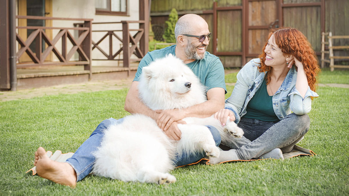 Couple sitting on grass with dog