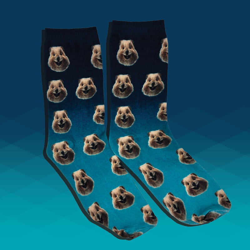 HBF Run for a Reason 2025 quokka socks